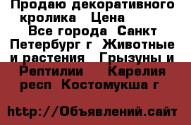 Продаю декоративного кролика › Цена ­ 500 - Все города, Санкт-Петербург г. Животные и растения » Грызуны и Рептилии   . Карелия респ.,Костомукша г.